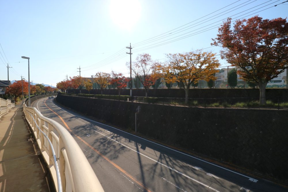 国道2号線西広島バイパス「阿品台入口」から続く並木道 阿品台東橋からの眺め