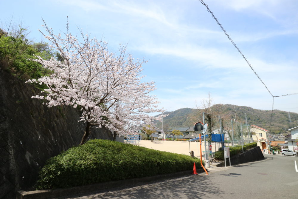 徒歩1分、安芸ヶ丘公園・4月の桜