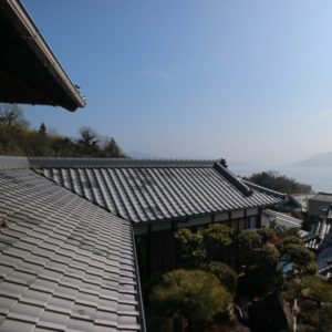 IMG_4454_